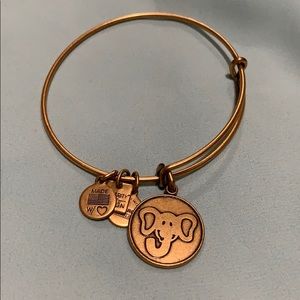 Alex and Ani bracelet